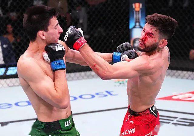 战报ufcfightnight238罗森斯特鲁克vs加济耶夫