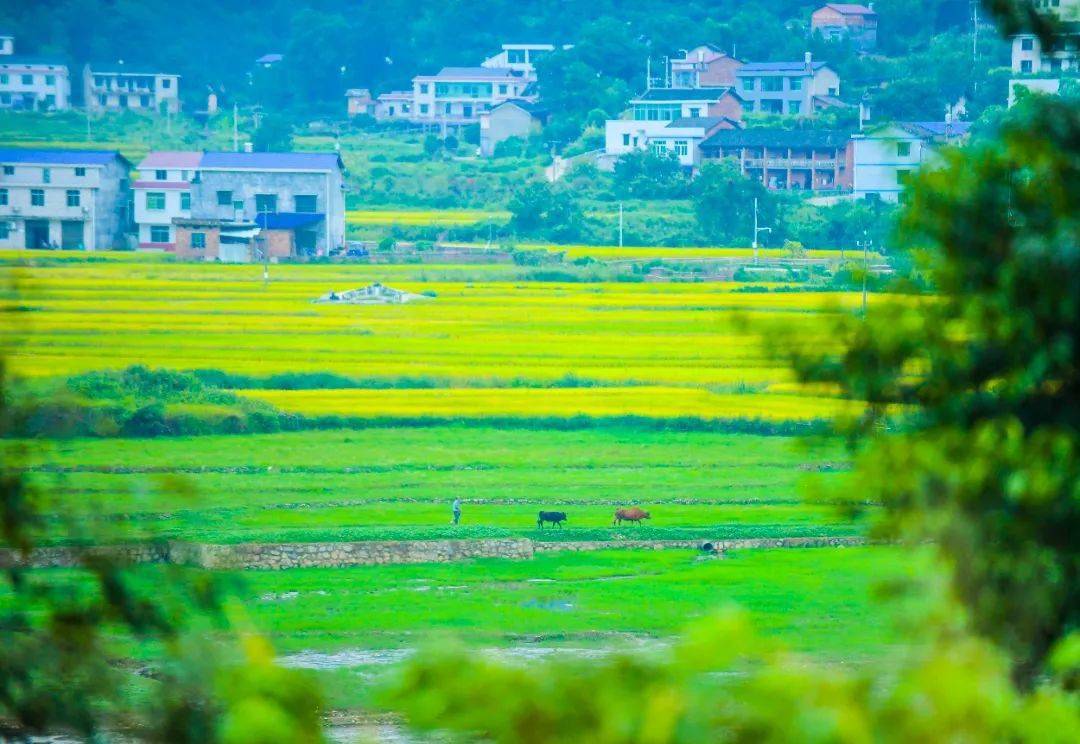 一句话暴露你是哪里人,趣谈湘潭方言!_李龙_湘乡_ng