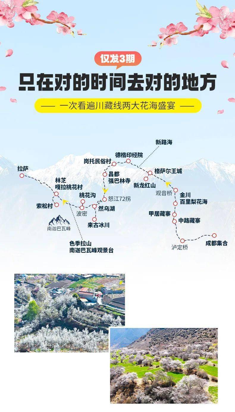 【大美川藏·11日】2-10人vip小团 · g317 g318 林芝桃花 金川梨花