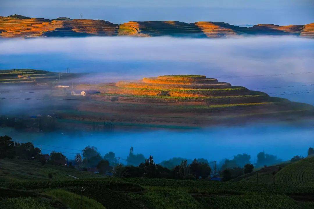 西吉县荣获自治区园林县城荣誉称号_固原市_避暑_温带