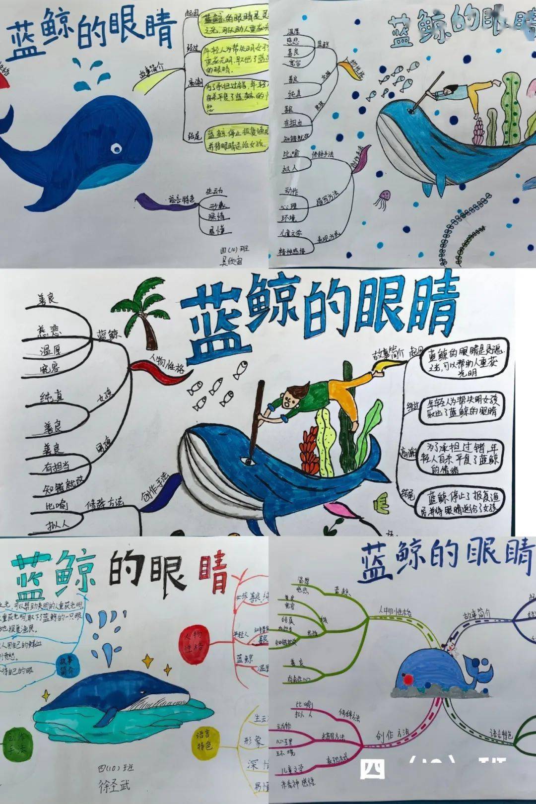 快乐充实的假期,学校建议四年级学生利用寒假时间阅读《蓝鲸的眼睛》