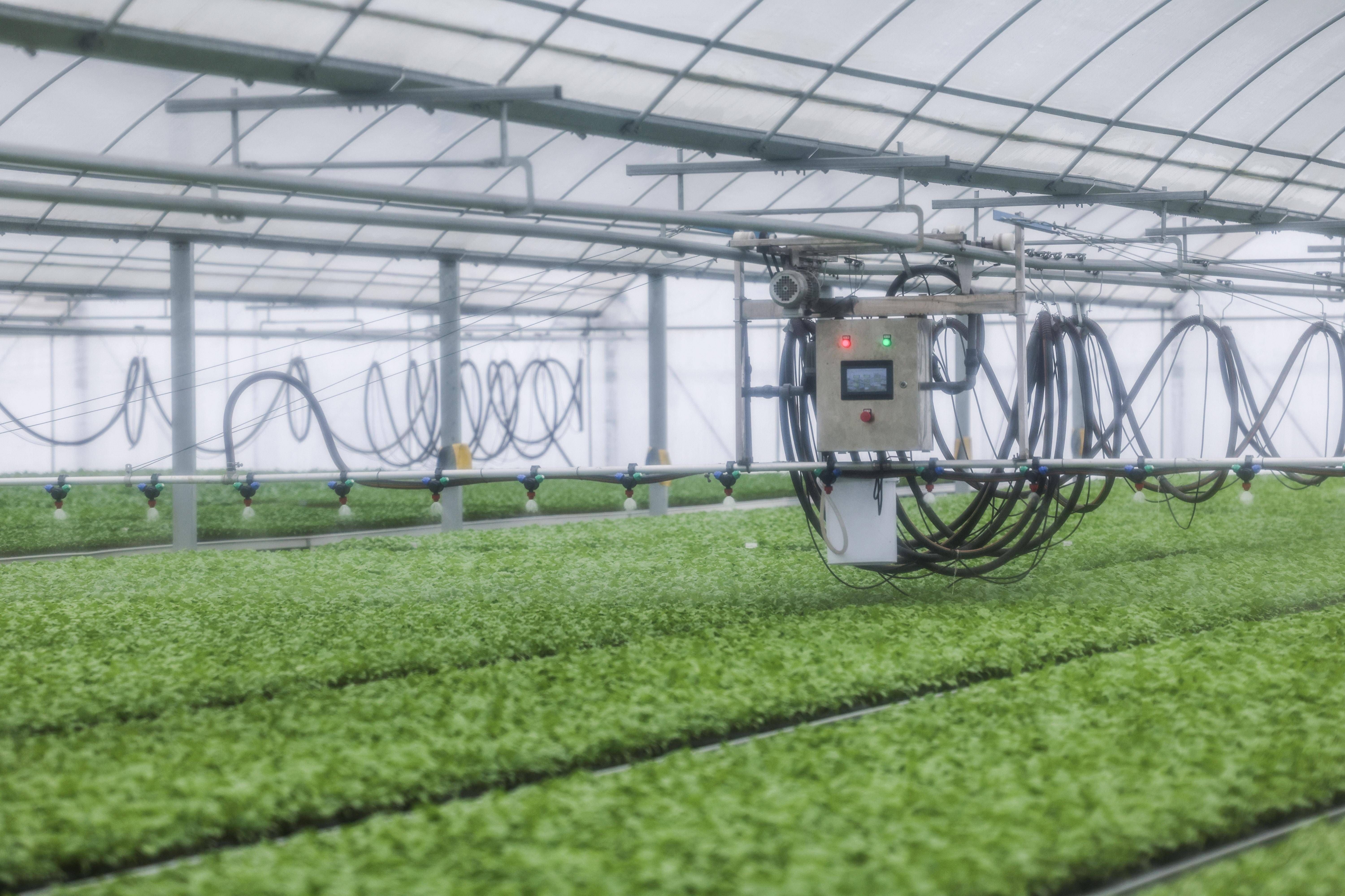 3月6日,在位于桐乡市高桥农业科技产业园的中科康成数字化育苗车间内