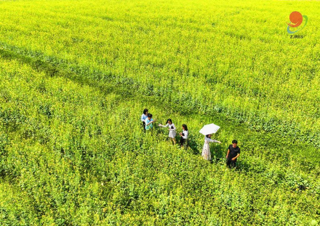 安排湛江限定版春日赏花地图来了