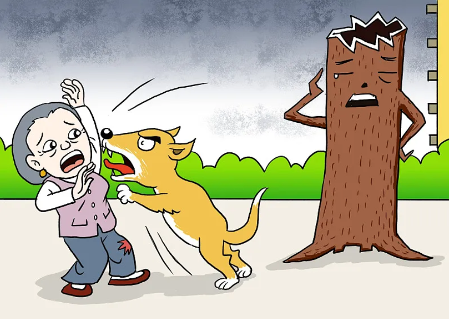 "不排除对伤人犬只饲养者追刑责"有现实意义但需保持谦抑_责任_伤害