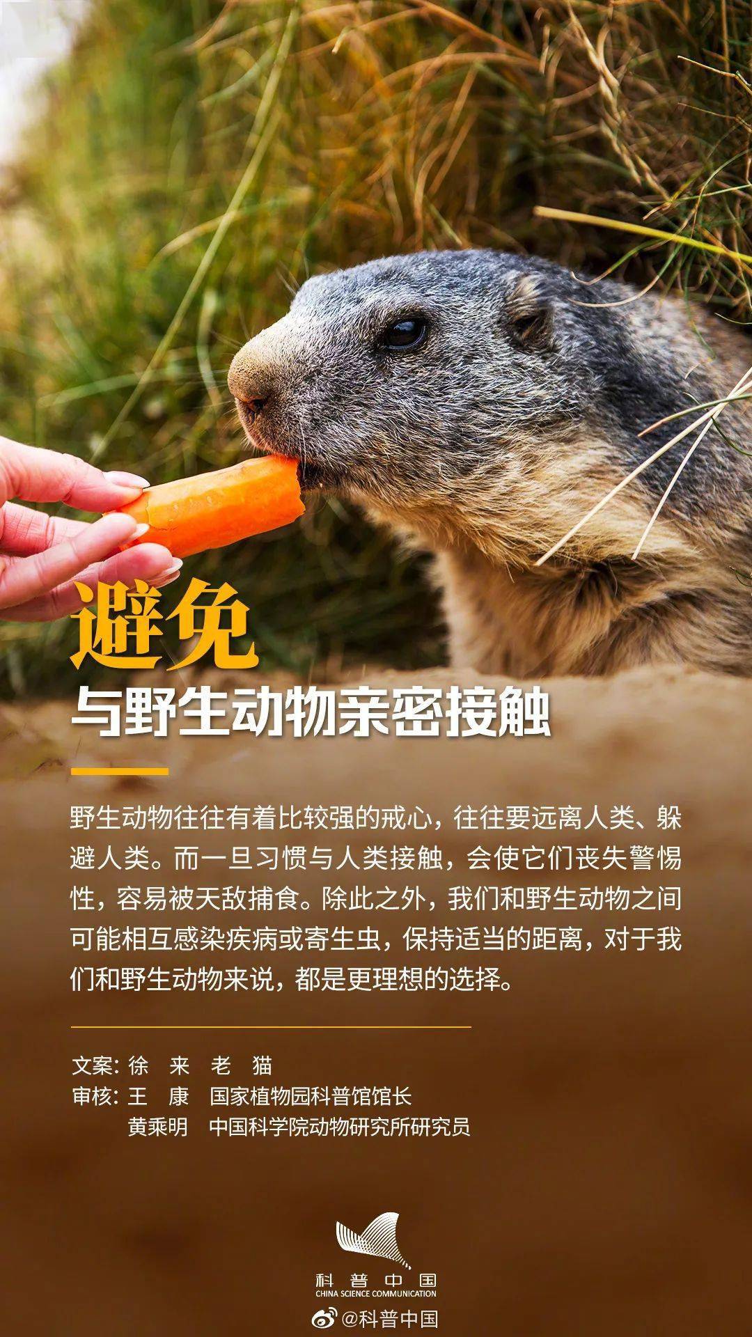 生物多样性 | 如何与野生动植物和谐相处?_生死_来源_一举一动