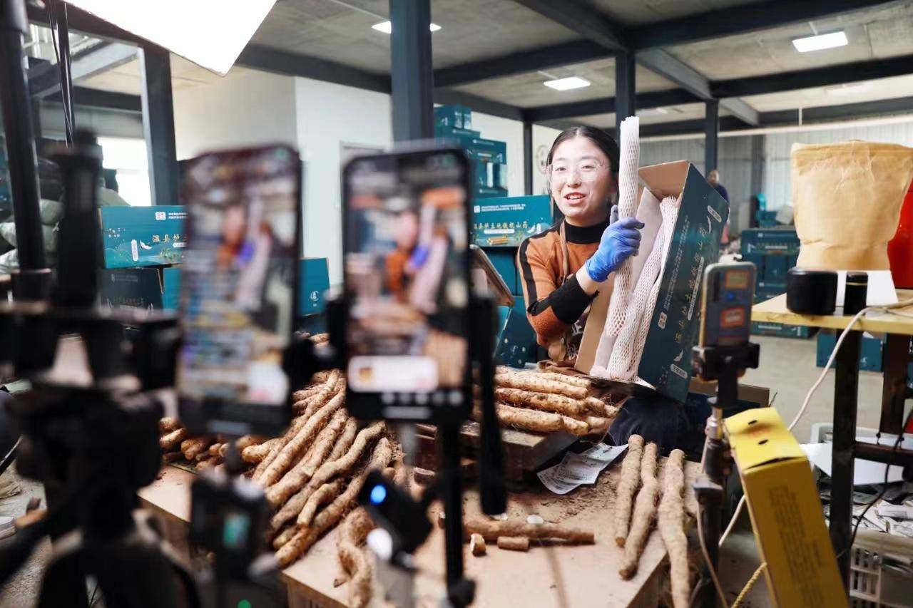 温县:"村播"带火"乡货"_乡村_山药_直播间