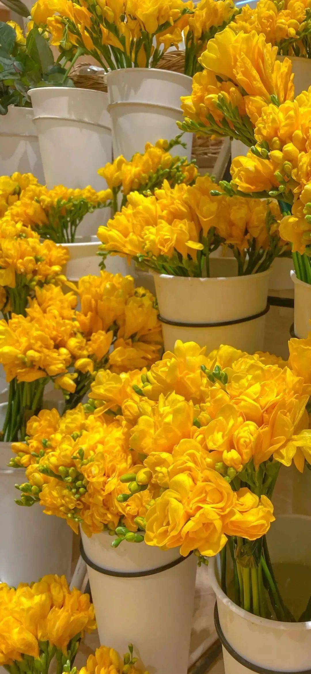 壁纸超有氛围感的锁屏壁纸676767