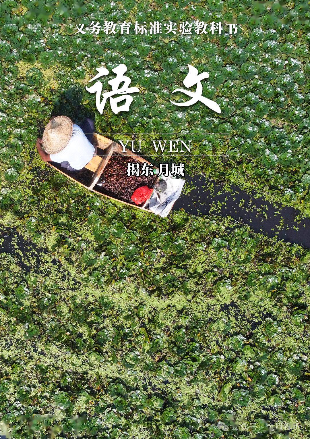 在揭东一不小心拍到了语文课本封面适配度拉满