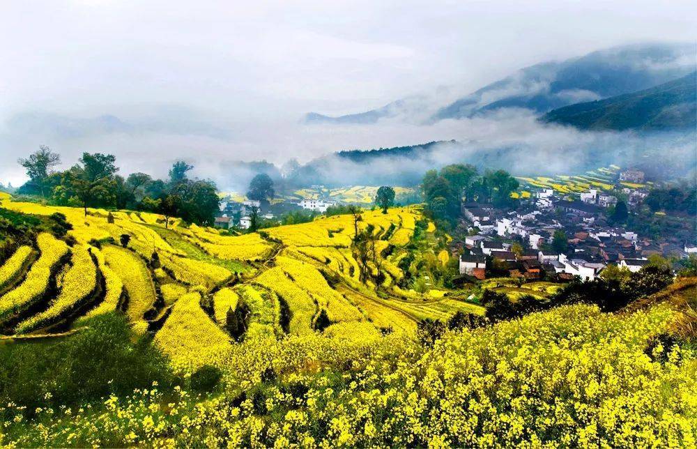 一起上春山,相约在江岭|5条精选游览路线带您玩转江岭景区_游客_婺源