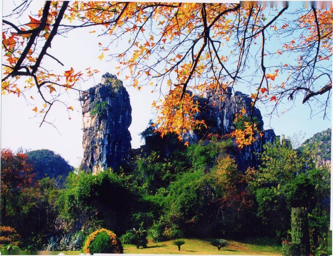 乔振宇为家乡赛事打call邀请大家赏烟雨桂林品恭城油茶