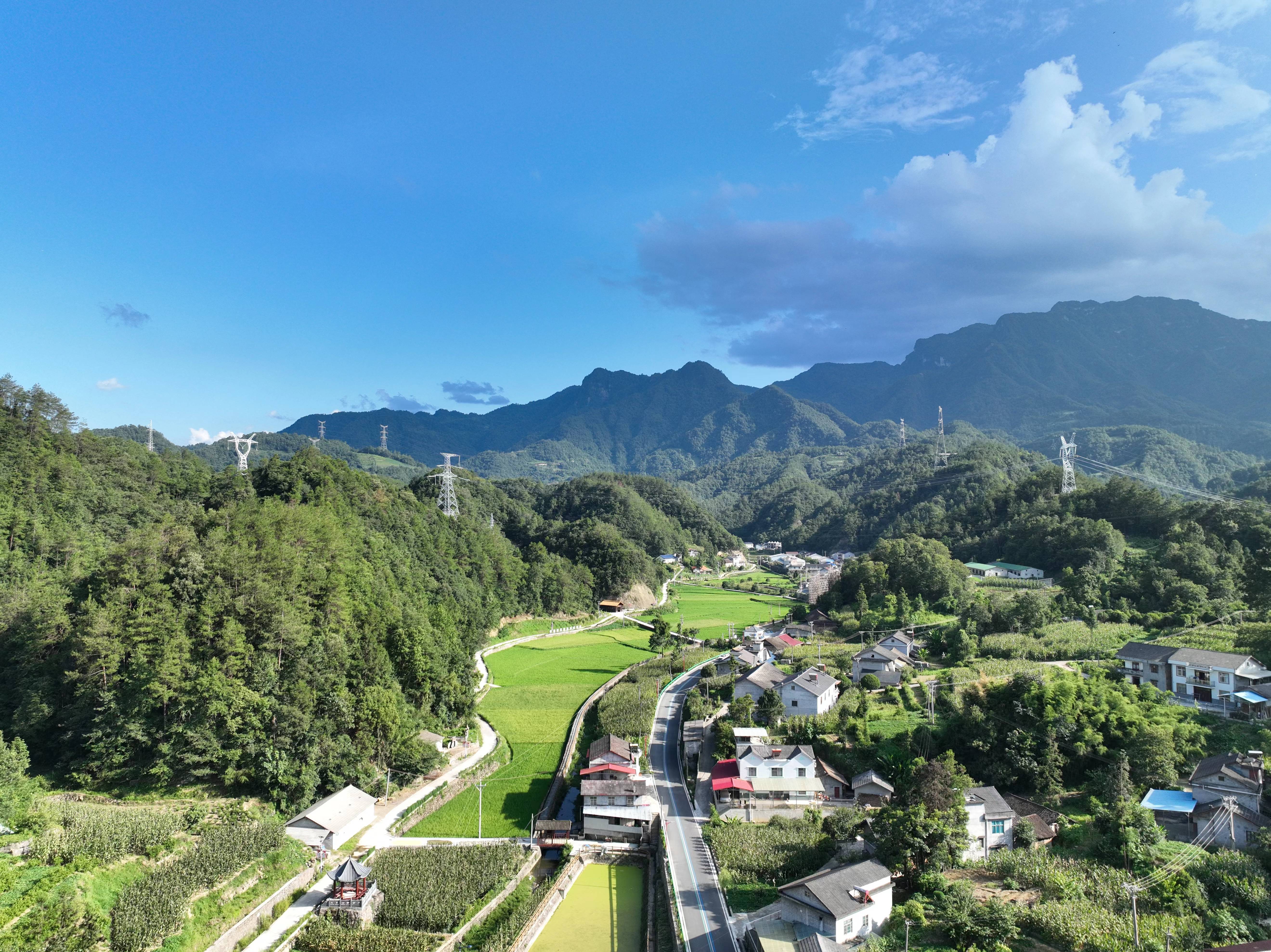 长阳水竹园村数字赋能产业兴共同缔造和美村