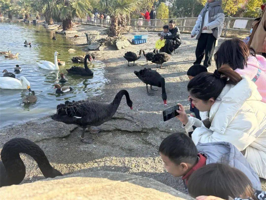 太火爆了年卡已开抢台州湾野生动物园限时特惠成人年卡仅售￥168元