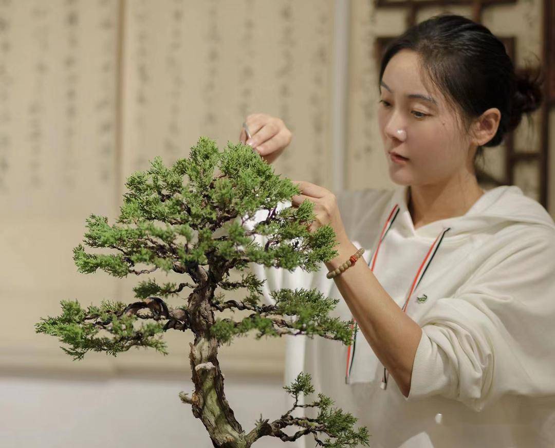 巧手塑绿意闪耀她力量