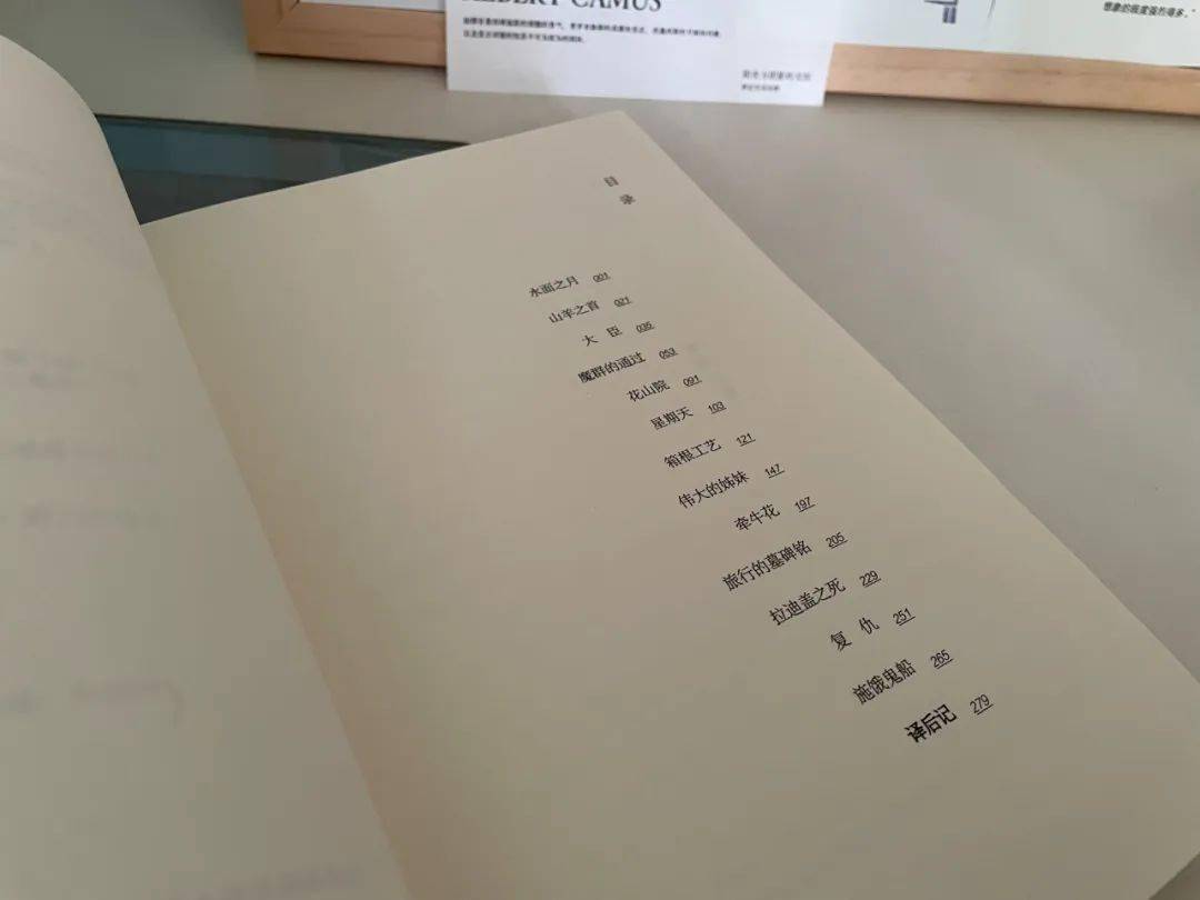 16岁成名45岁自杀这位作家备受争议