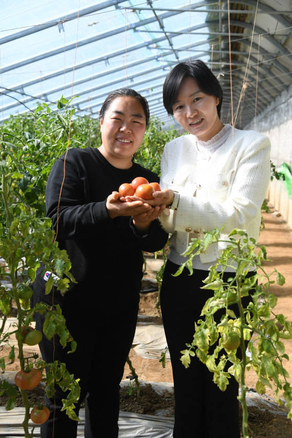 570_855竖版 竖屏