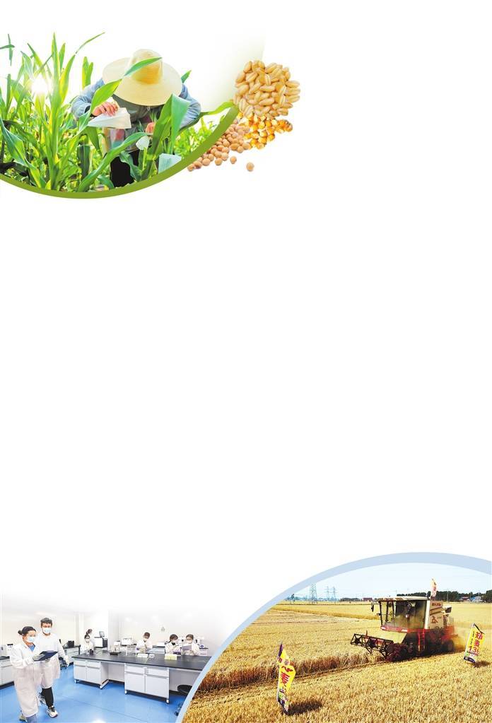 一粒种子促振兴丨攥紧农业芯绘出好丰景