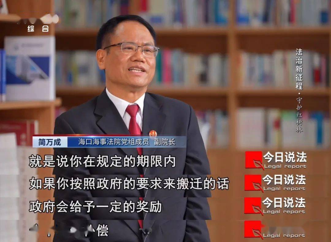 今日说法守护红树林