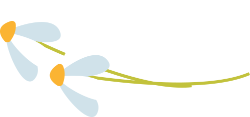 日,大麦/猫眼的话剧热销双冠王《开心聊斋·三生plus》即将在济南首演