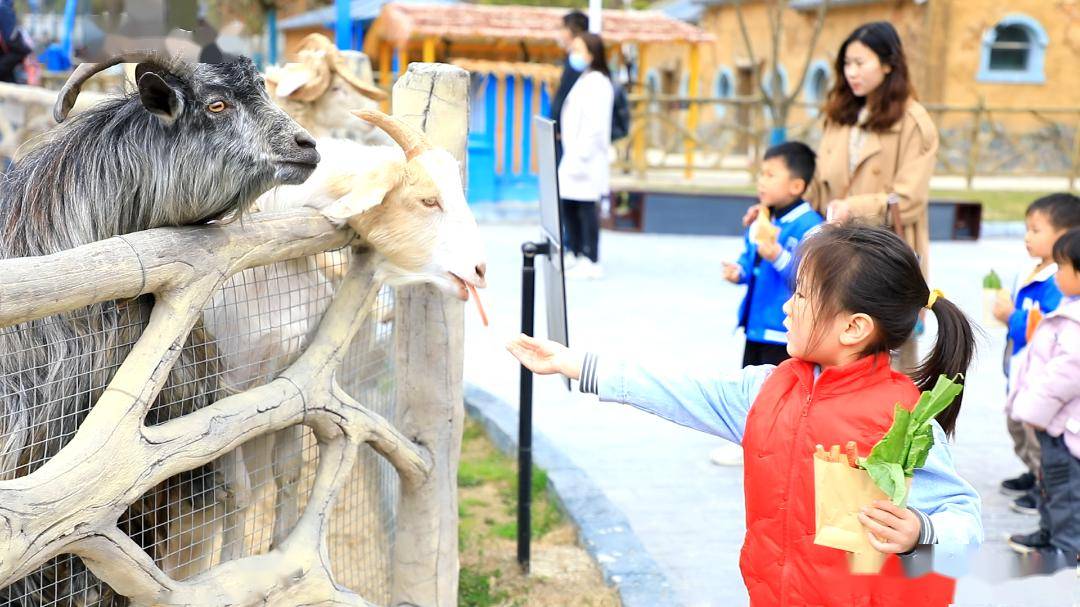 汉中华阳景区门票 观光车仅需69.9元!_秦岭_古镇_乐园