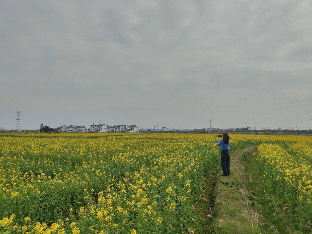 南昌县三江镇修好进村公路推进乡村旅游