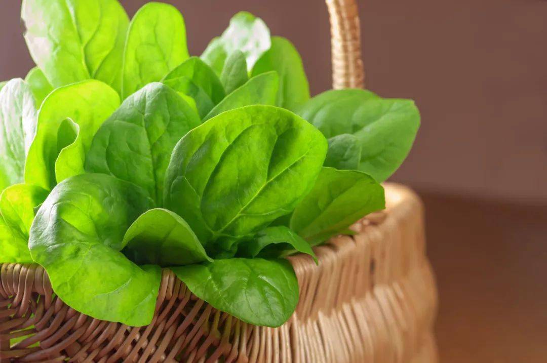 7大功效,养肝健体_菠菜_草酸_养生