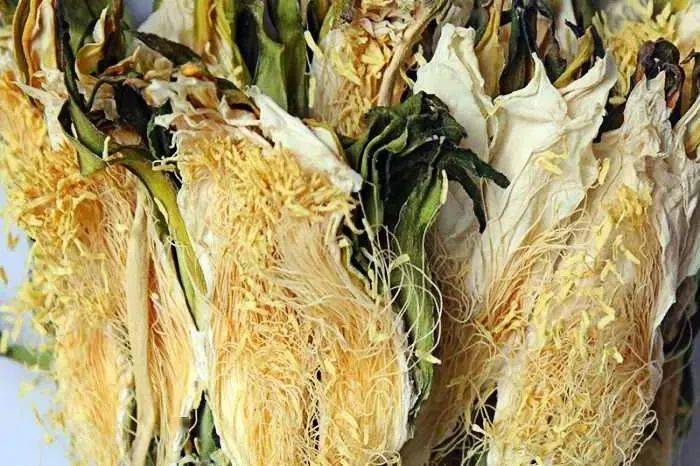 创造广西足球新纪录全国唯一的双甲县城这座城市气质独特