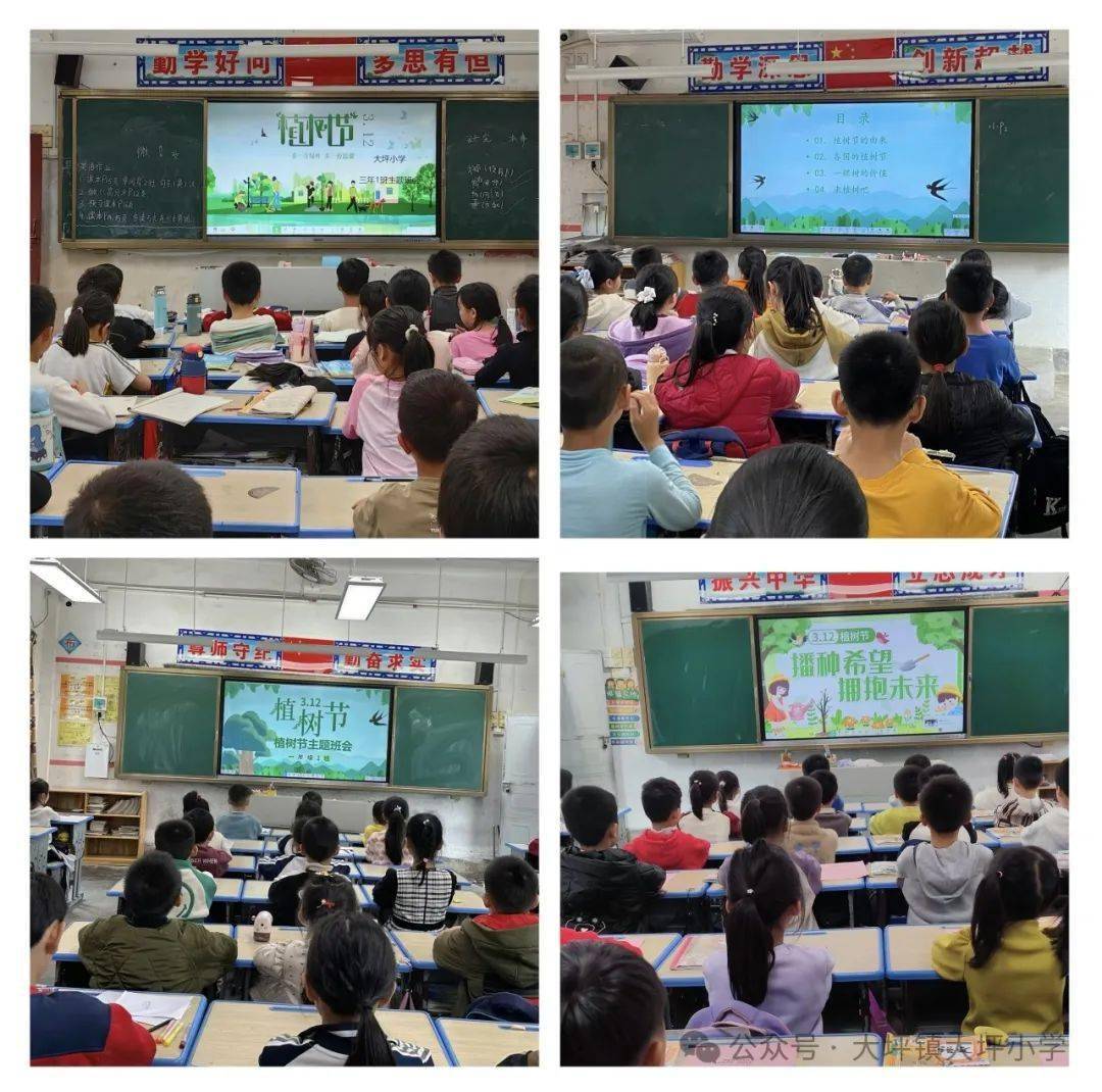 植树植绿爱绿护绿建设美丽家园大坪镇大坪小学开展植树节系列活动