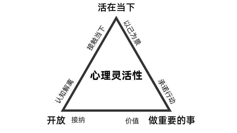 入门及核心技术应用课,创始人亲授&祝卓宏本土化融合_疗法_承诺_心理