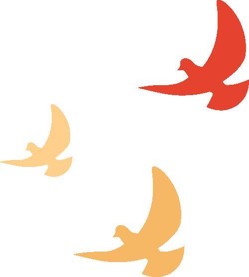 喜报丨这个社区获评第六届全国巾帼志愿服务十佳优秀社区祝贺