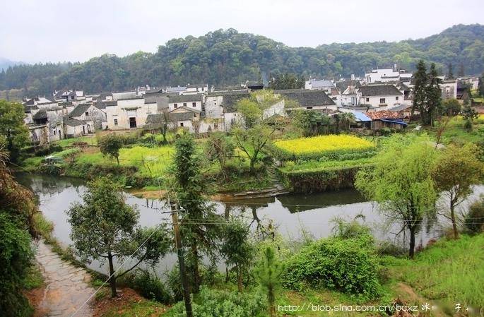 春游江南4思溪延村优雅的土豪金