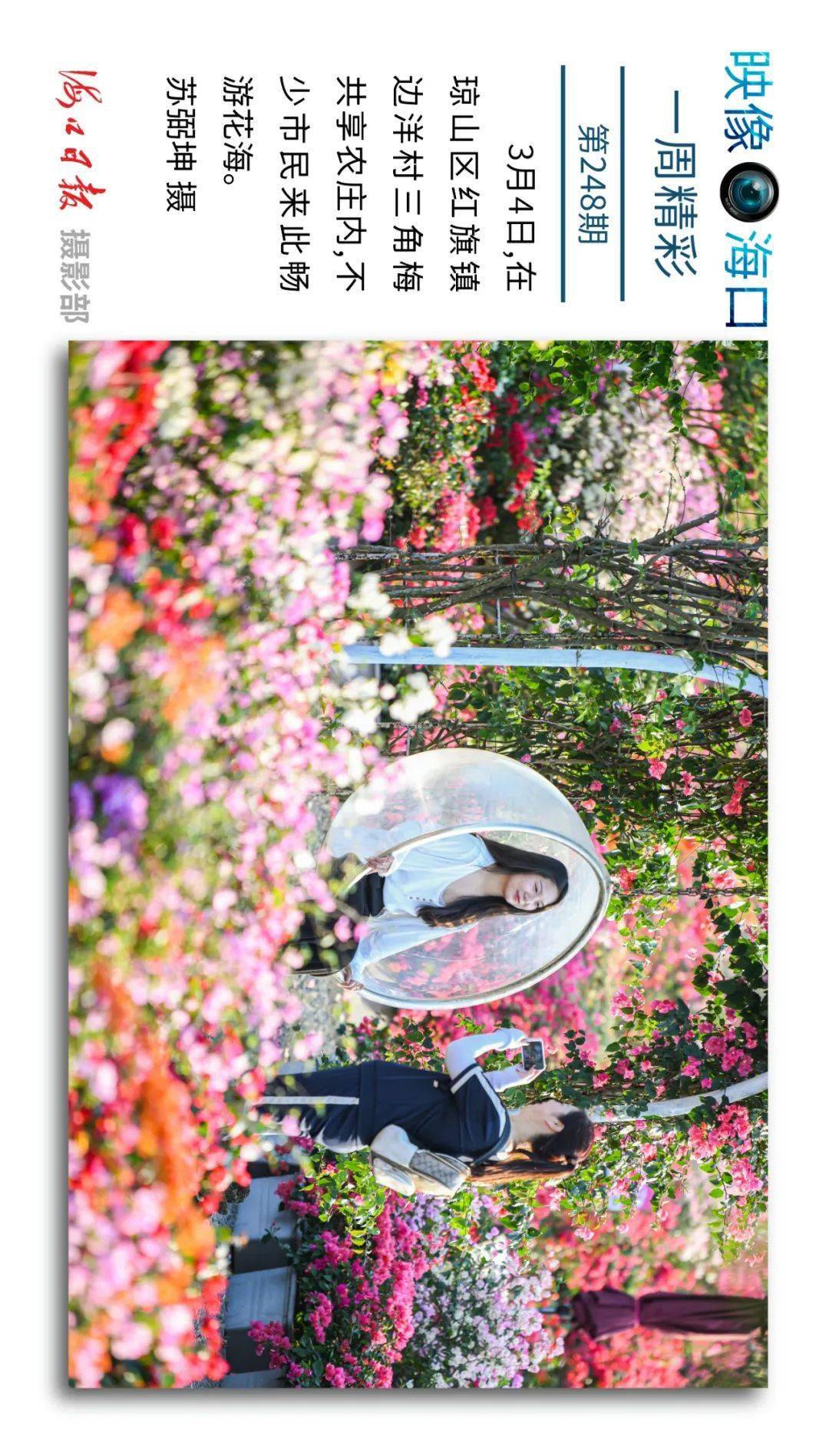 映像海口248一周精彩