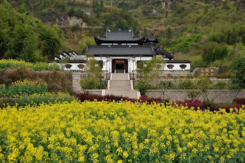 又美又甜快来古田丨阳春三月古田文旅活动预告来啦