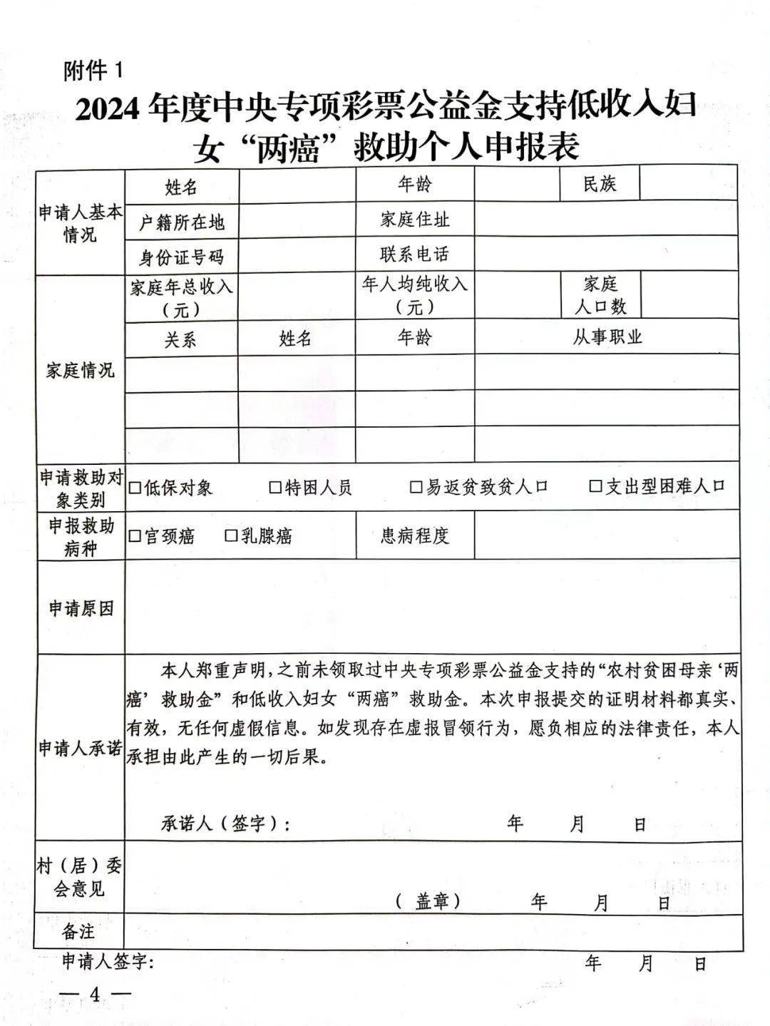 低收入妇女两癌救助专项基金项目申报流程