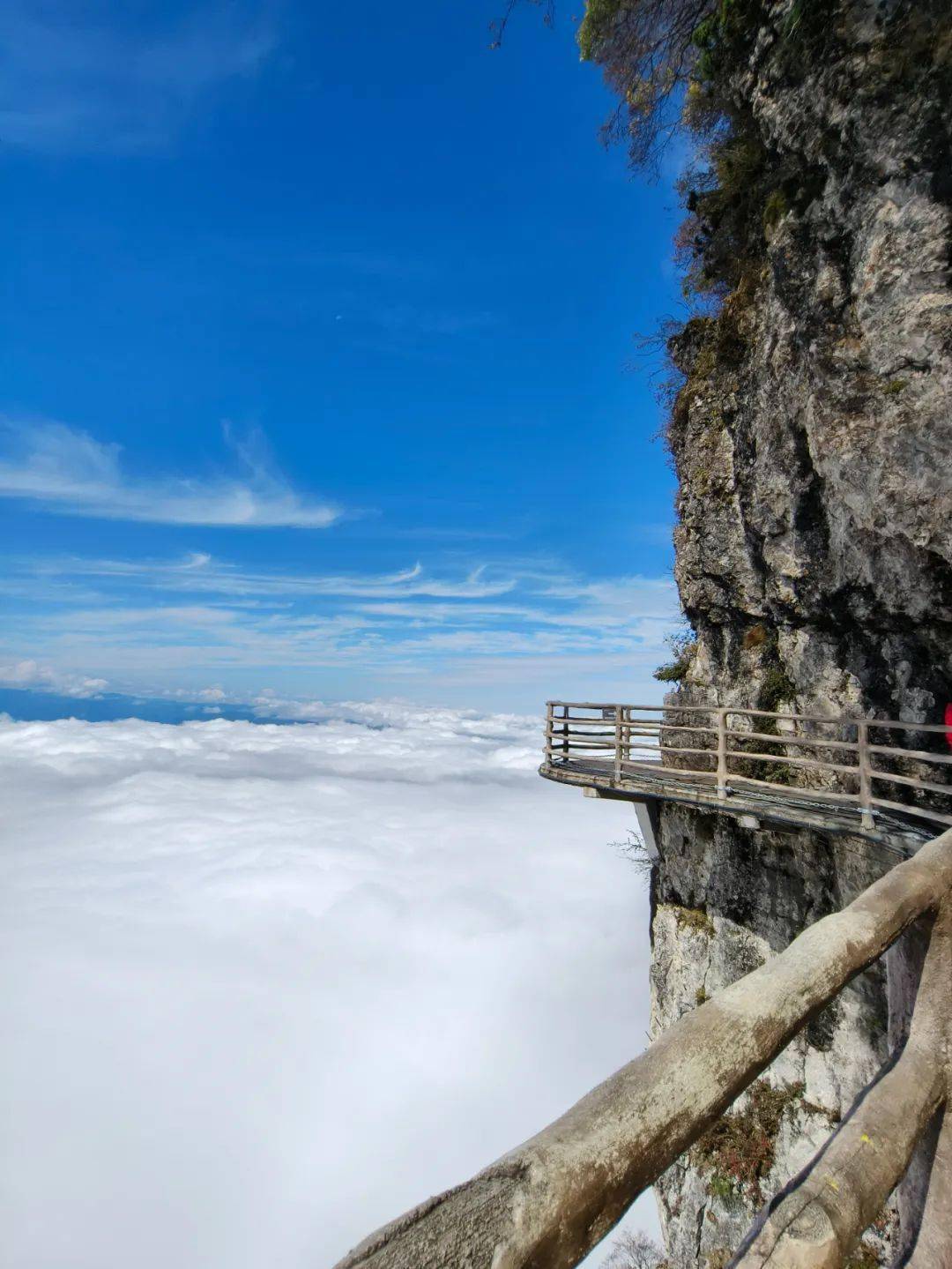 所有人,龙头山【限时免门票】活动又双叒来喽!_景区_油菜花_春色