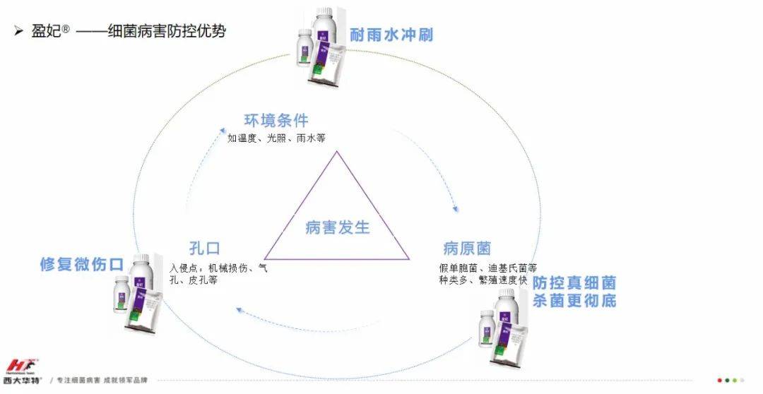 江苏天禾召开2024年经作产品发布会