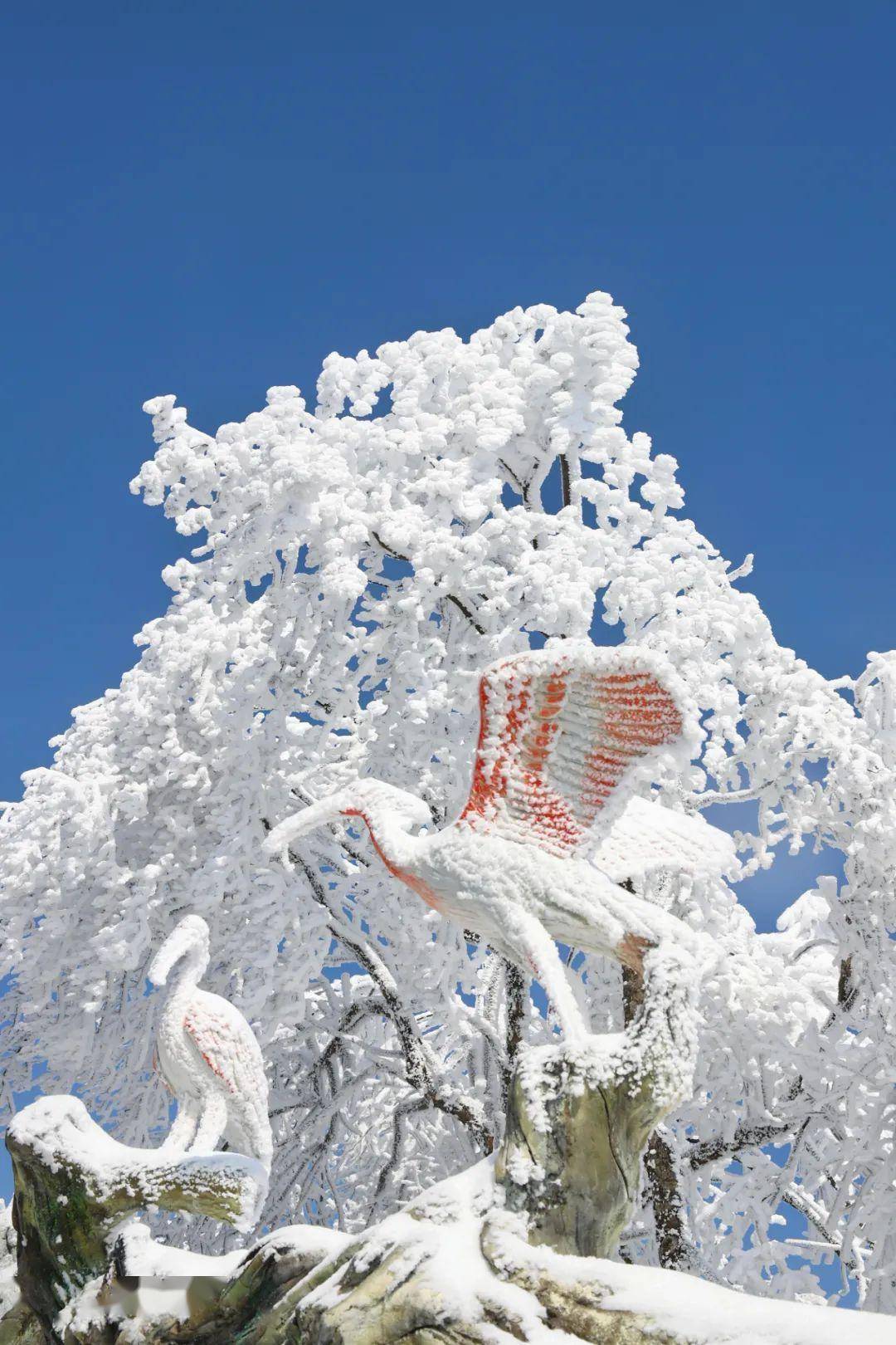 所有人,龙头山【限时免门票】活动又双叒来喽!_油菜花_大地_射击