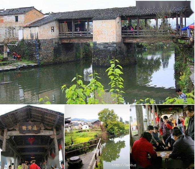 春游江南4思溪延村优雅的土豪金