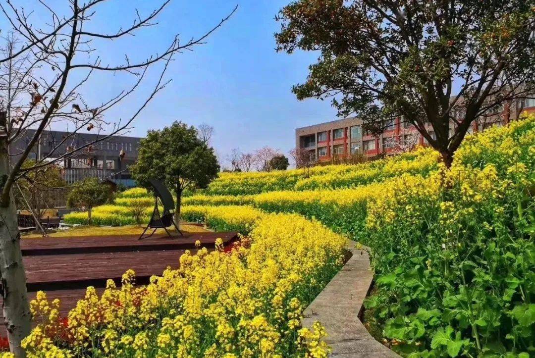 同济大学浙江学院2024年专升本招生公告