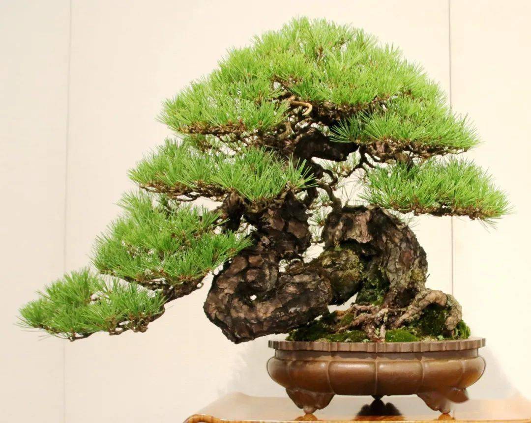 二月二龙抬头鸿运当头