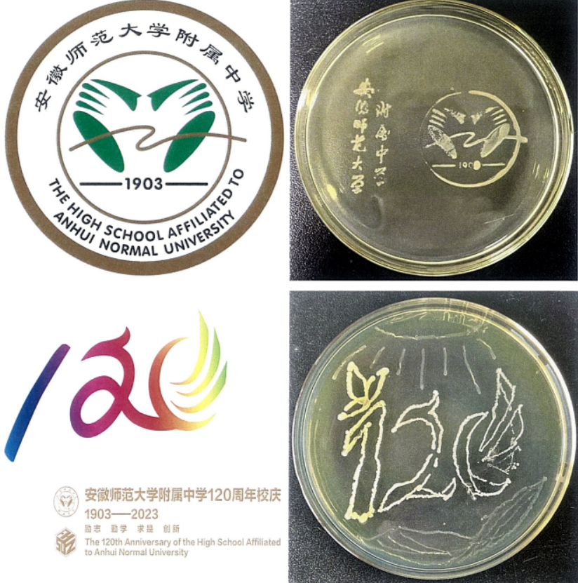 安师大附中学生作的画脑洞大开