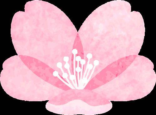 视导启春序蓄力向未来泉州五中期初视导活动圆满结束