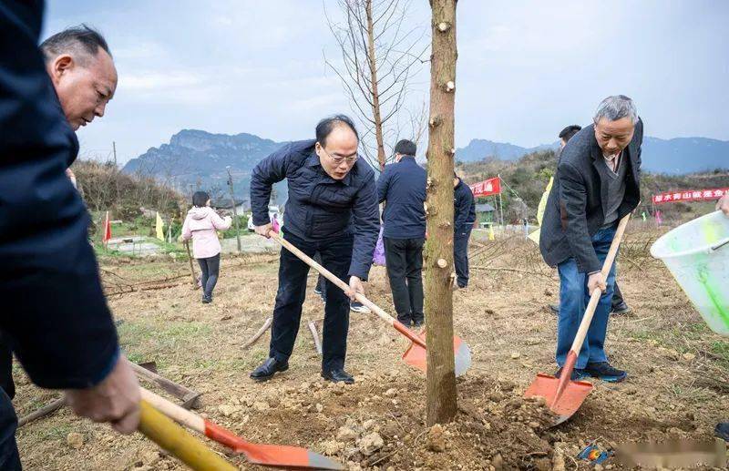 我区开展2024年春季义务植树活动