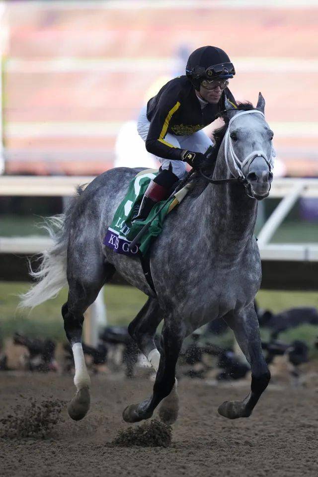 韩国马事会及韩国赛马产业介绍