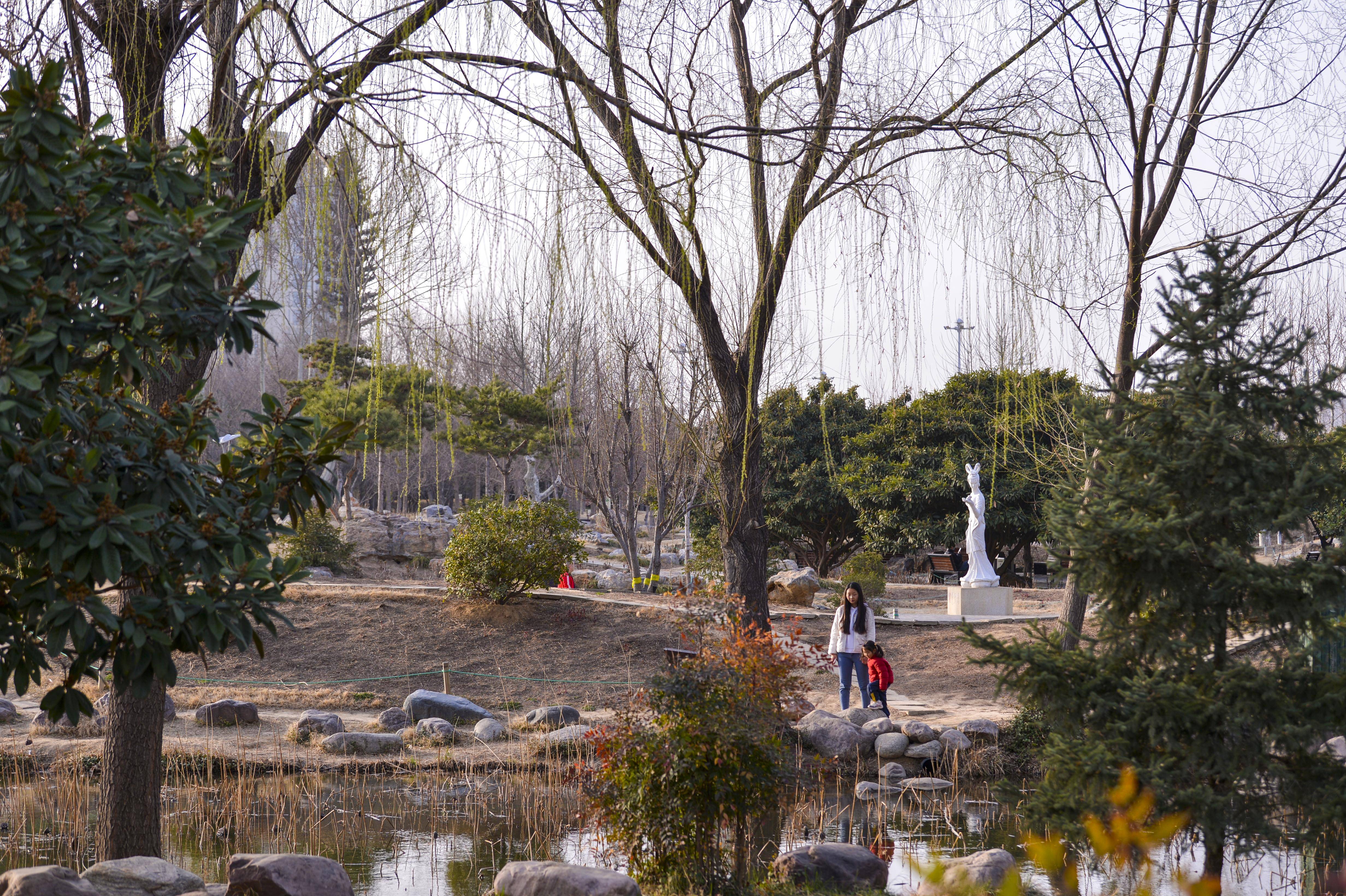 郑州植物园春色满园市民踏青赏花忙