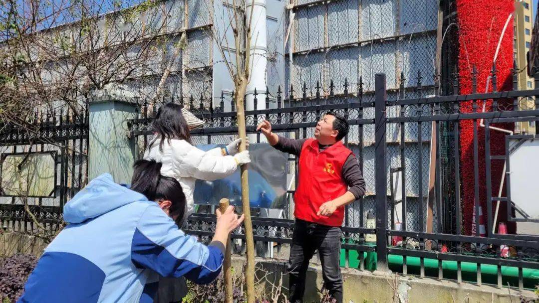 植树添新绿咸丰青年在行动