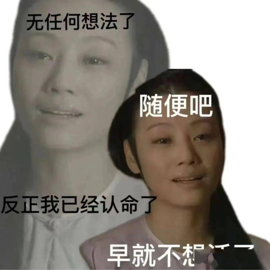 校园万花筒 | 重生之我在校园当 "甄学家"