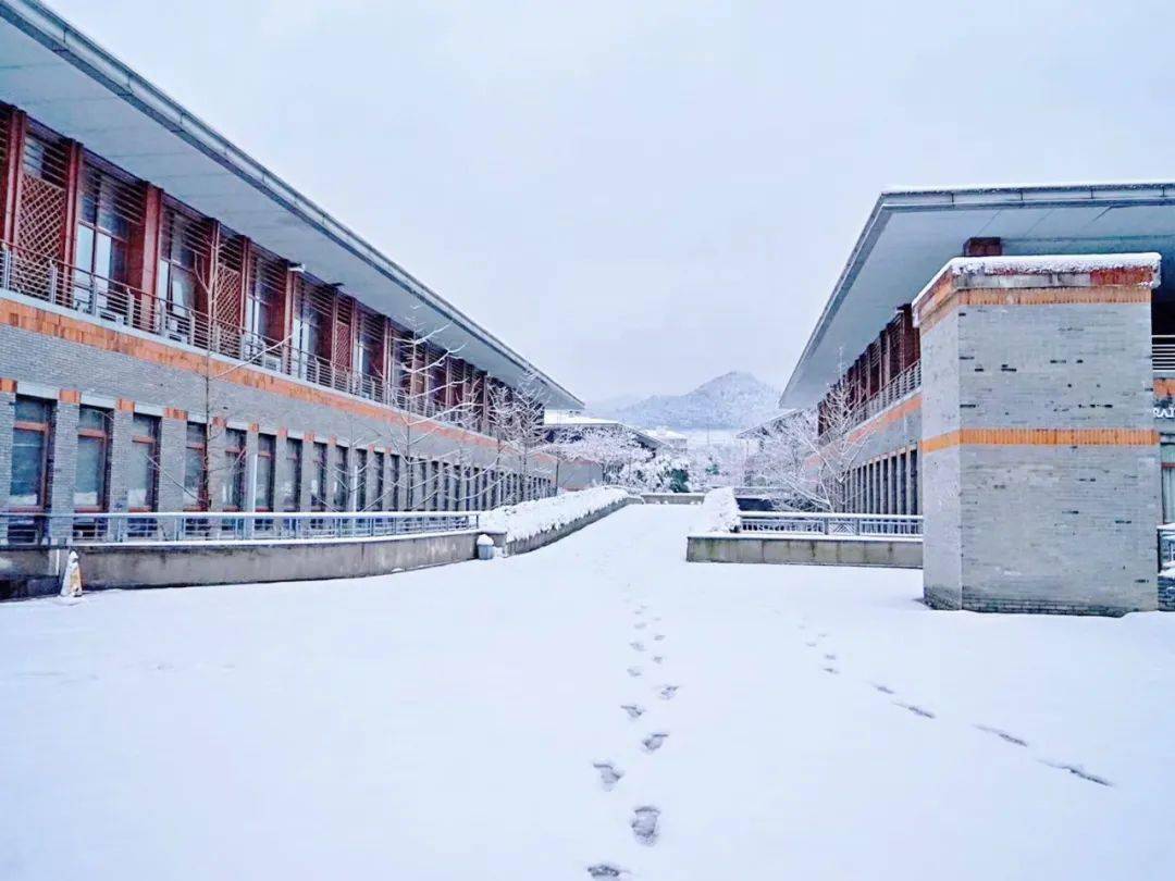 2024年杭州万向职业技术学院高职提前招生章程_考生_测试_综合