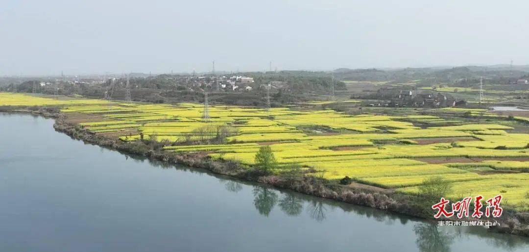 诗画耒阳之大和圩乡油菜花开遍地黄田园披上美人妆