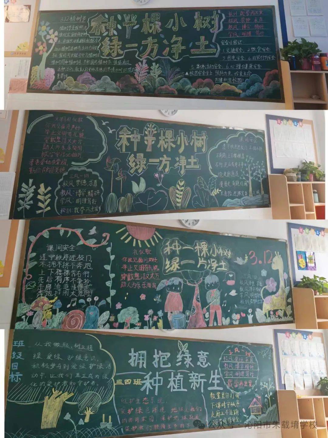 惊蛰过,春分临沁阳市朱载堉学校开展了植树节黑板报活动