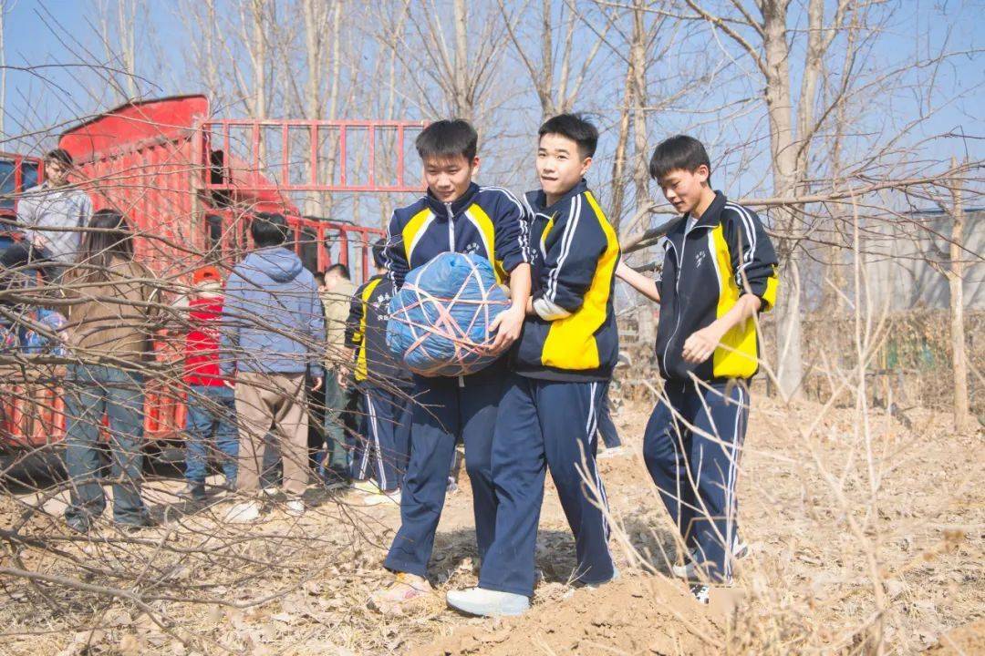 播种绿色拥抱春天保定泽龙学校开展劳动教育实践活动